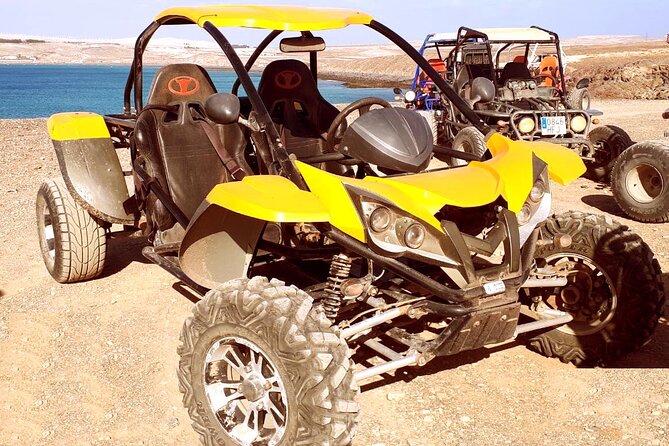 Fuerte Buggy - Image 2