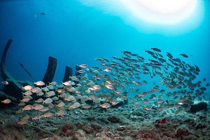 Gran Canaria Cruises - Image 6