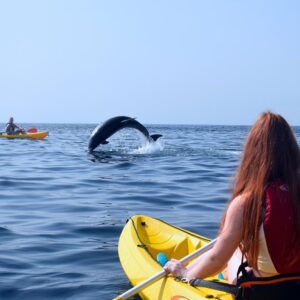 Tenerife Kayaking & Snorkeling