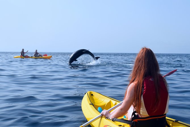 Tenerife Kayaking & Snorkeling