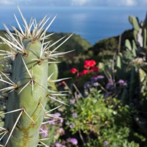 The wild landscape of La Palma Island, Canary Islands