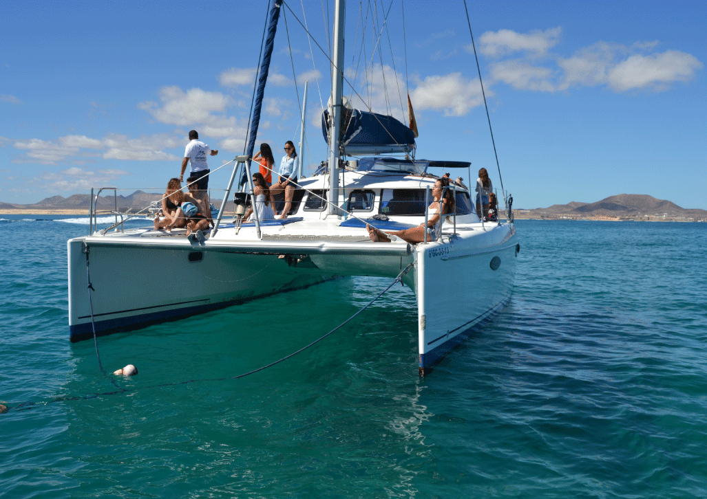 Catamaran excursion to Lobos island