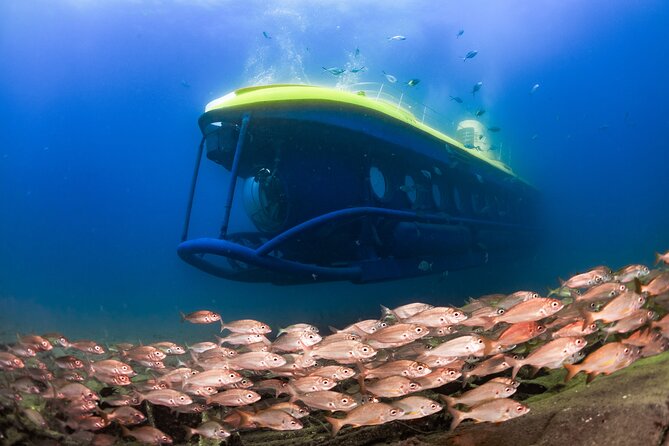 Gran Canaria Cruises - Image 3