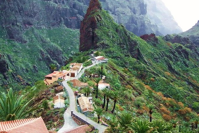 Tenerife Tours - Image 2
