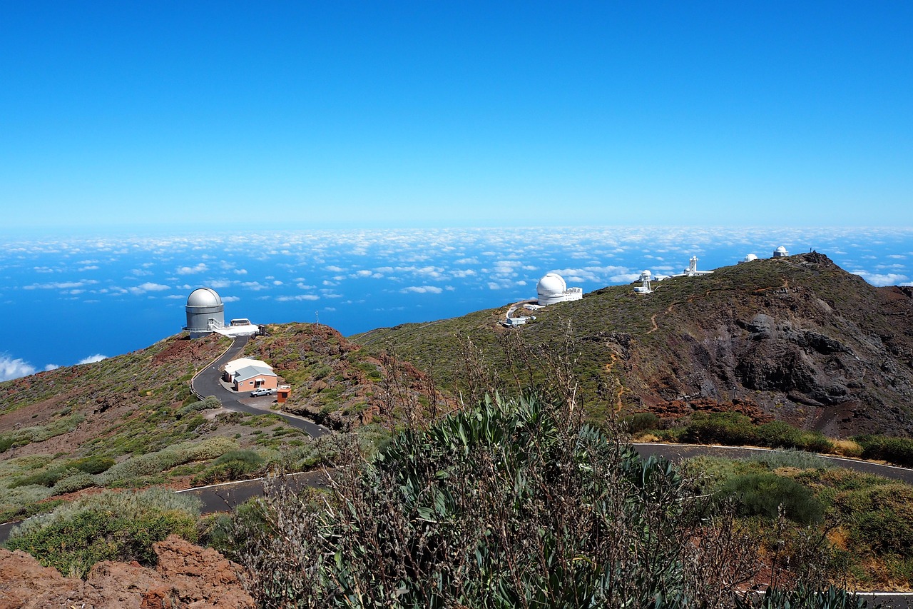 La Palma - Image 3